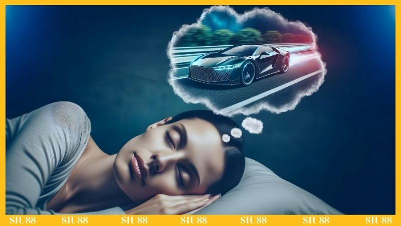 Mối liên hệ giữa ô tô và cuộc sống