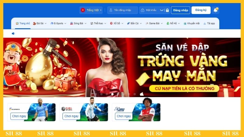 Tác giả thành lập nhà cái gặt hái được nhiều thành công