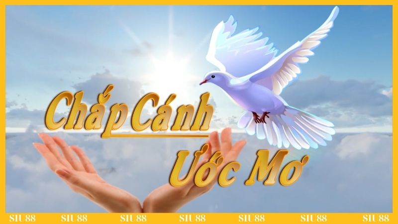Chương trình từ thiện Siu88 được tổ chức ra sao?